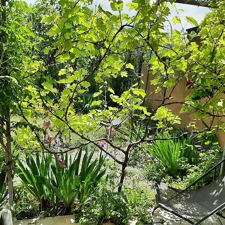 T.Belle Vue Panoramique Au Coeur Du Luberon 40M2 + Pergola . Jardin. P Lejlighed Apt Eksteriør billede